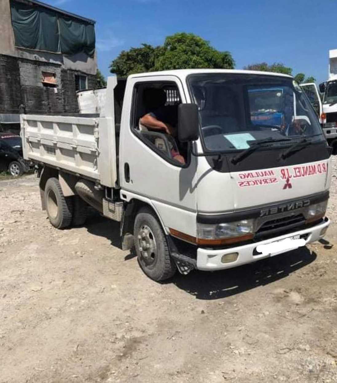 Mini Dump Truck Image